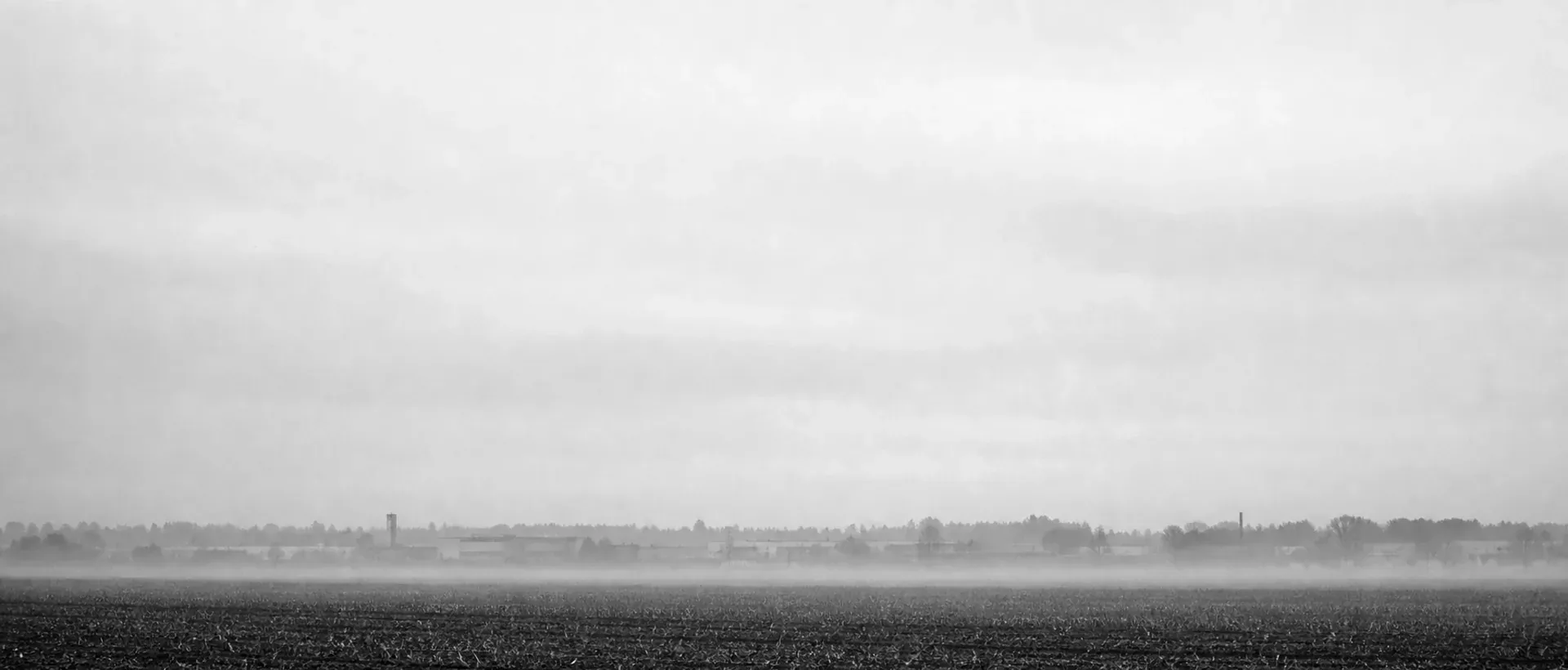 Eine ruhige weite Landschaft im Seeland am frühen Morgen: flaches Ackerland im Nebel, weit hinten die schwache Silhouette einer Baumreihe und eines kleinen Industrieparks, ein heller grauer Himmel darüber.